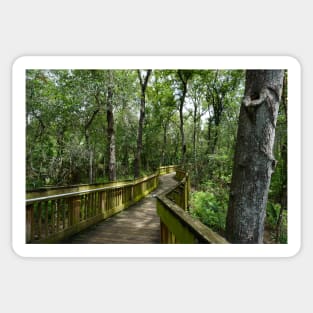 Florida Hike Sticker